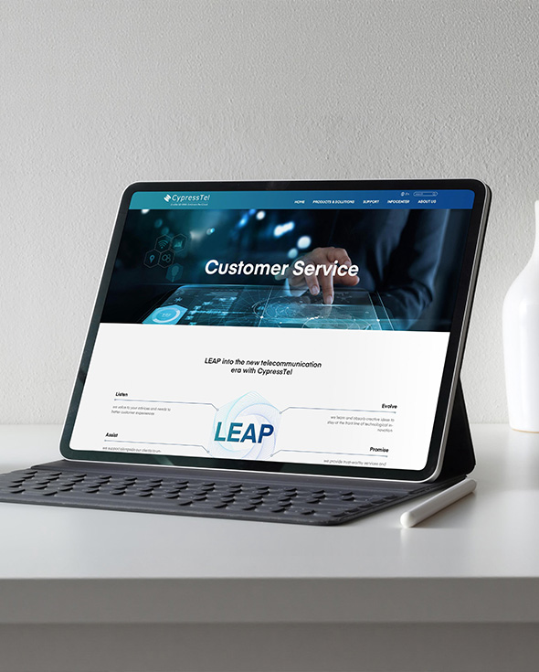 赛柏特官网建设